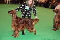 Crufts2011_2 090